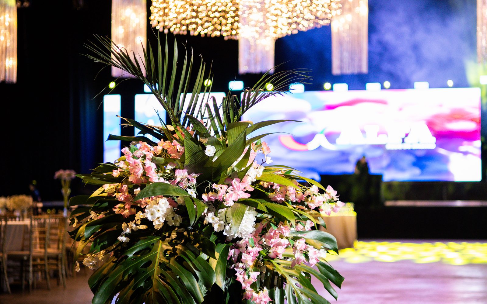 Empresa de formatura em Foz do Iguaçu, PR - Memorizze Formaturas