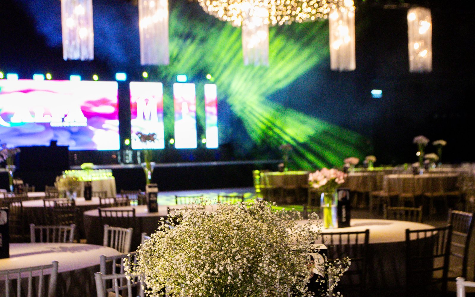 Empresa de formatura em Indaial, SC - Memorizze Formaturas